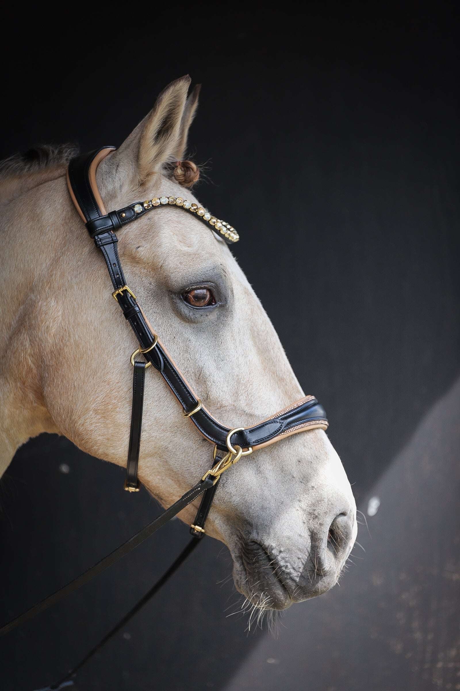 Spiritandhiscrew X MASEGO Multi Bridle - MASEGO horsewear - Equiluxe Tack