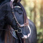 Spiritandhiscrew X MASEGO Multi Bridle - MASEGO horsewear - Equiluxe Tack