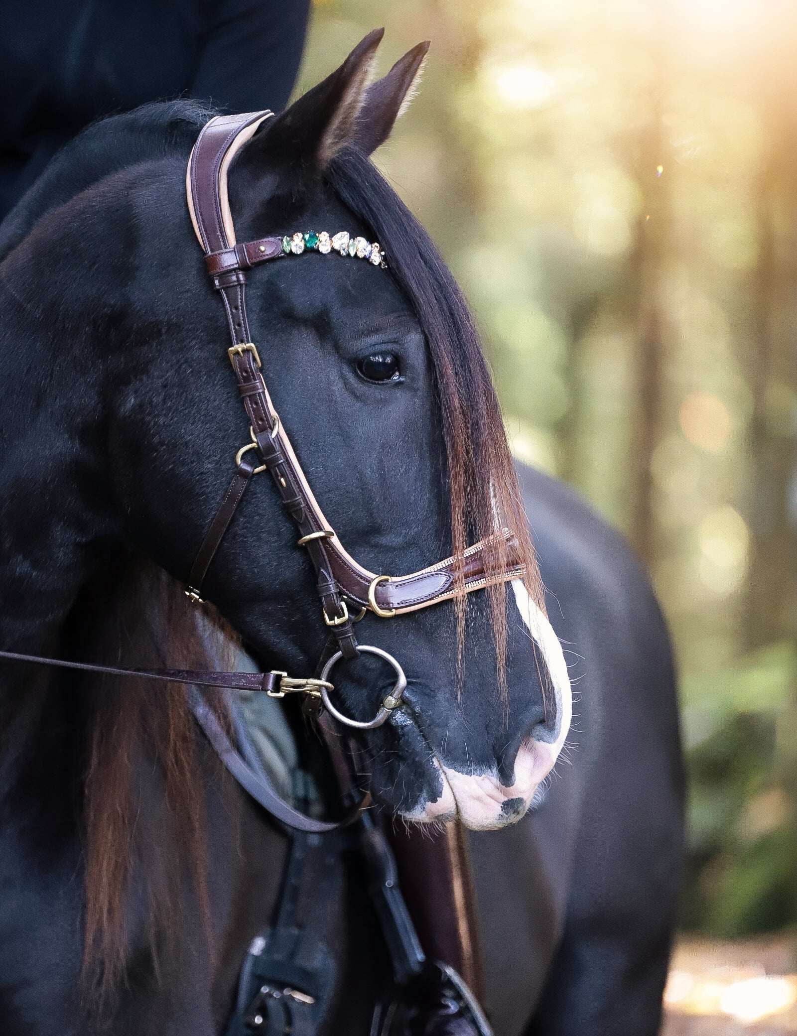 Spiritandhiscrew X MASEGO Multi Bridle - MASEGO horsewear - Equiluxe Tack