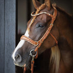 Spiritandhiscrew X MASEGO Multi Bridle - MASEGO horsewear - Equiluxe Tack