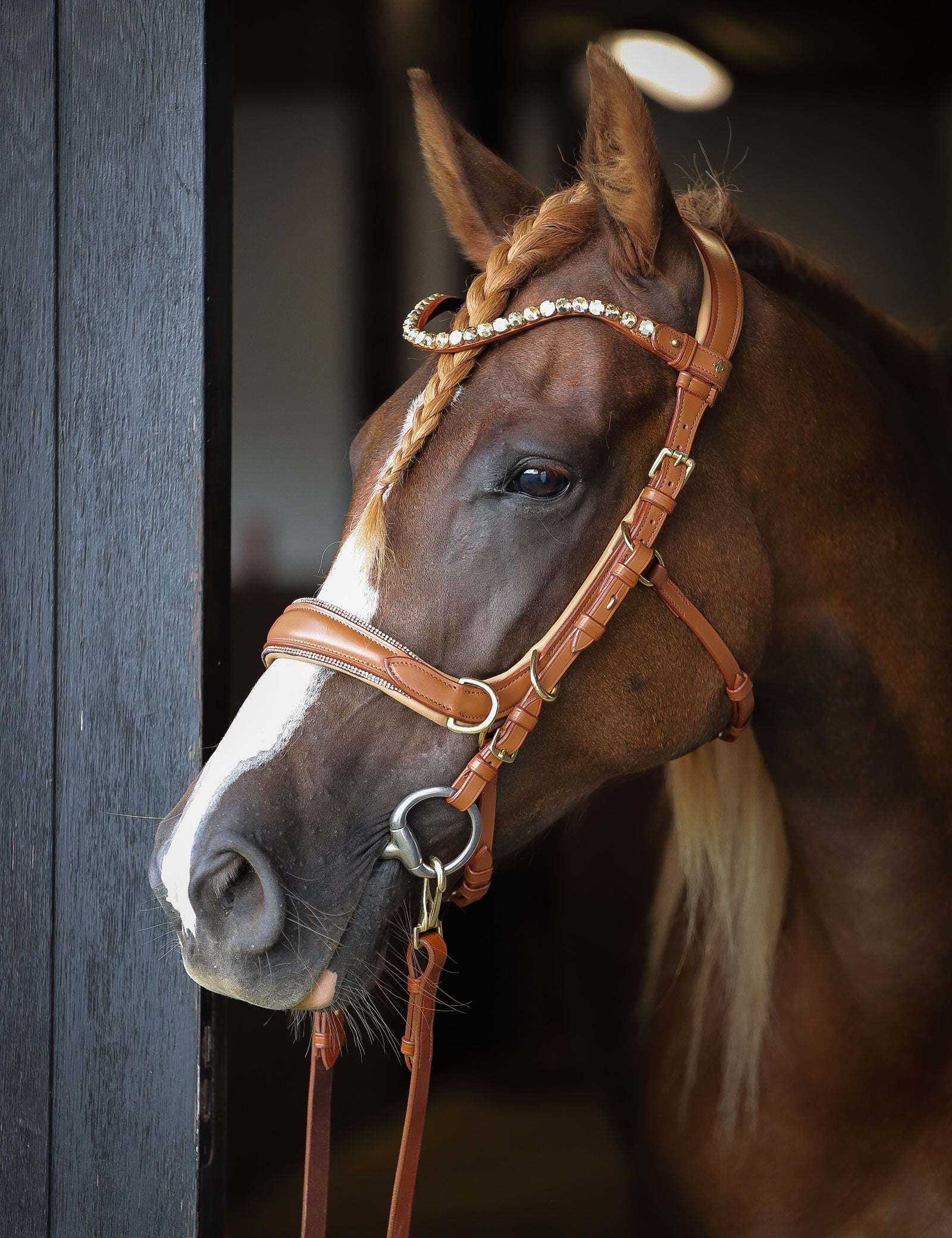 Spiritandhiscrew X MASEGO Multi Bridle - MASEGO horsewear - Equiluxe Tack