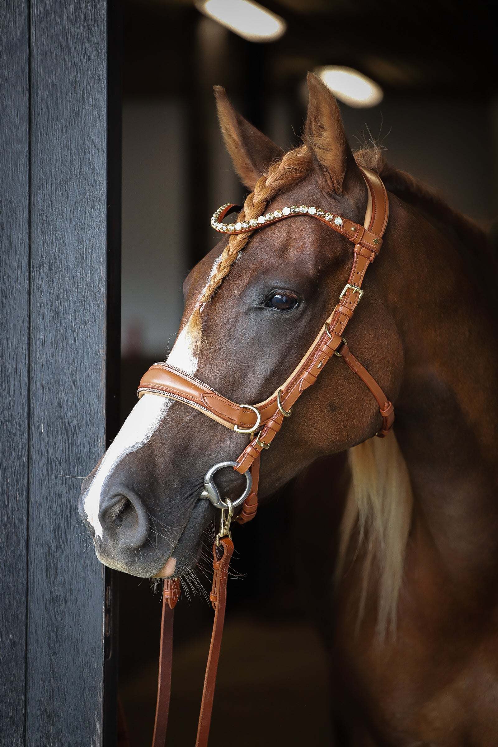 Spiritandhiscrew X MASEGO Multi Bridle - MASEGO horsewear - Equiluxe Tack