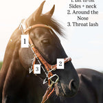 Spiritandhiscrew X MASEGO Multi Bridle - MASEGO horsewear - Equiluxe Tack