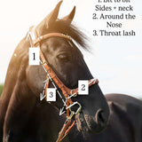 Spiritandhiscrew X MASEGO Multi Bridle - MASEGO horsewear - Equiluxe Tack