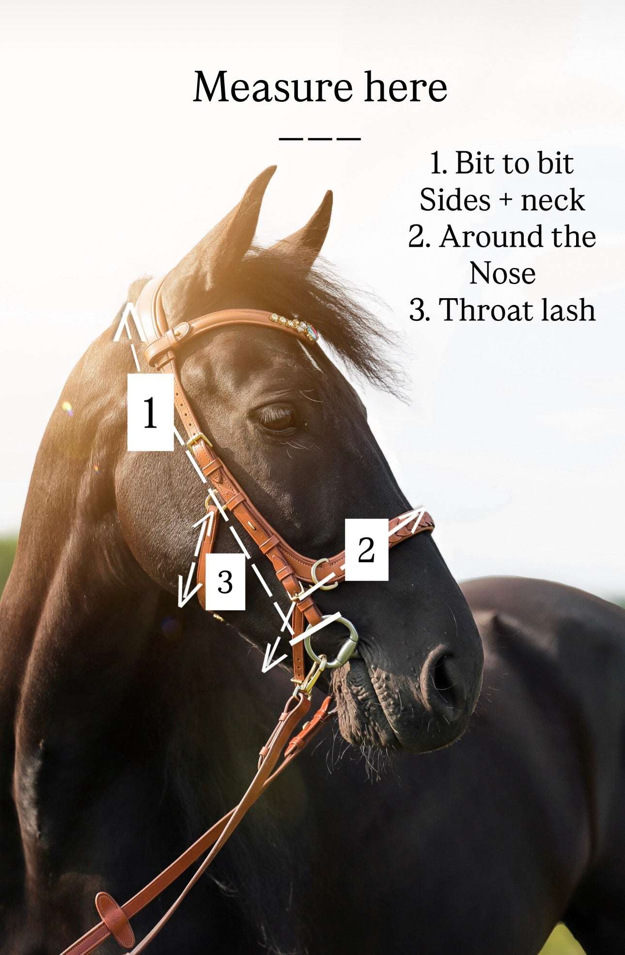 Spiritandhiscrew X MASEGO Multi Bridle - MASEGO horsewear - Equiluxe Tack