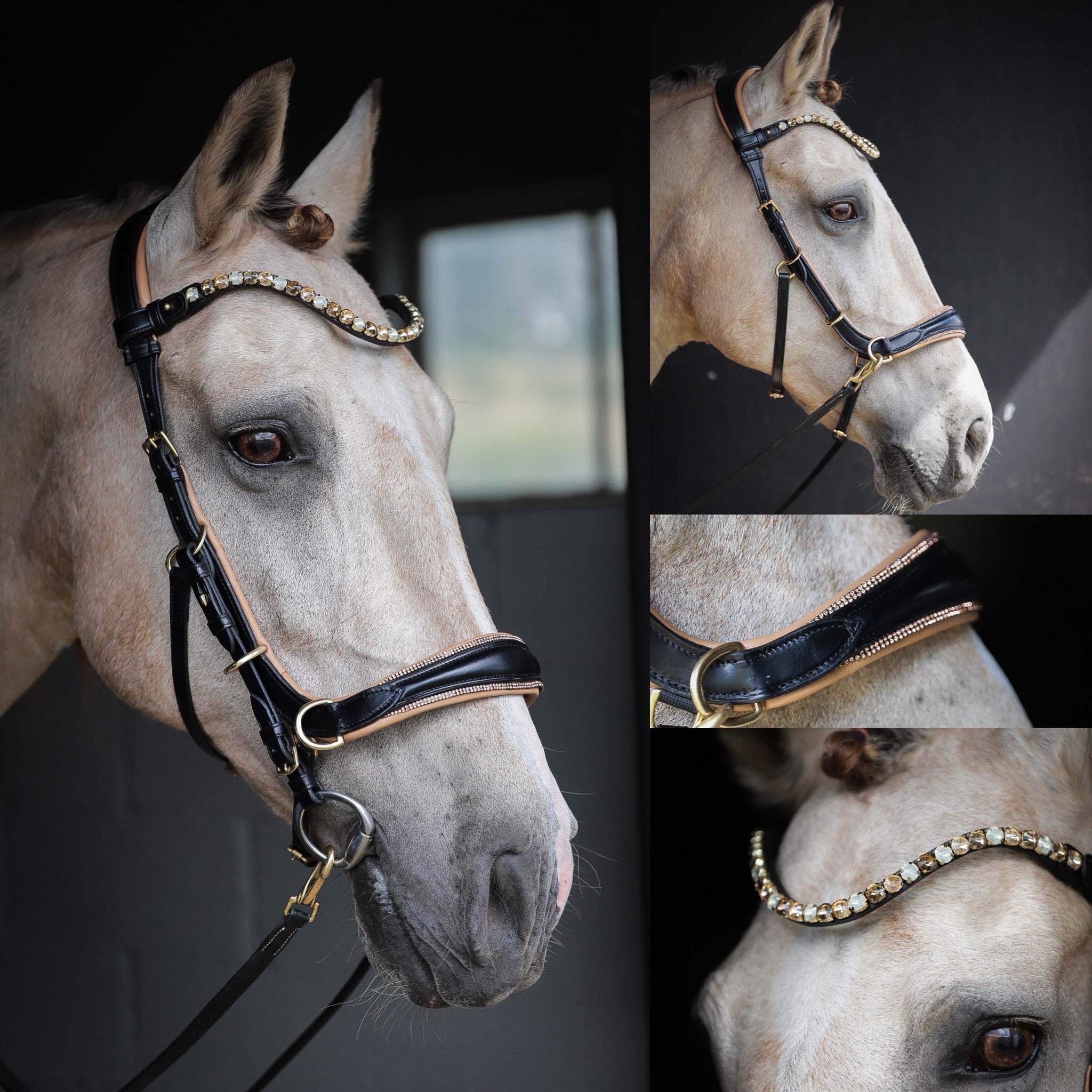 Spiritandhiscrew X MASEGO Multi Bridle - MASEGO horsewear - Equiluxe Tack