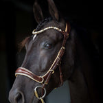 Spiritandhiscrew X MASEGO Multi Bridle - MASEGO horsewear - Equiluxe Tack