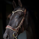 Spiritandhiscrew X MASEGO Multi Bridle - MASEGO horsewear - Equiluxe Tack