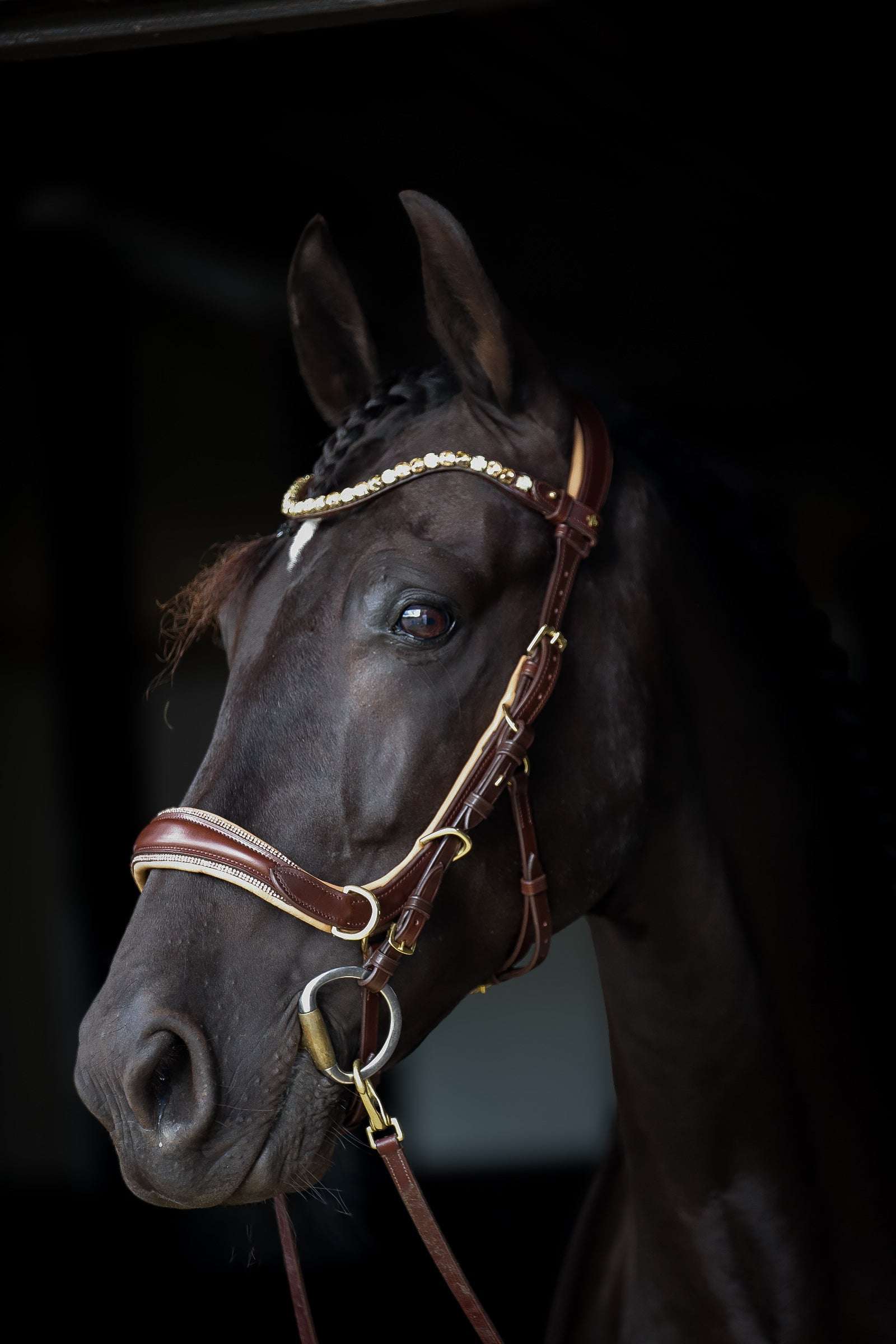 Spiritandhiscrew X MASEGO Multi Bridle - MASEGO horsewear - Equiluxe Tack