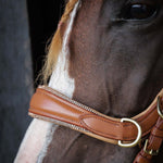 Spiritandhiscrew X MASEGO Multi Bridle - MASEGO horsewear - Equiluxe Tack