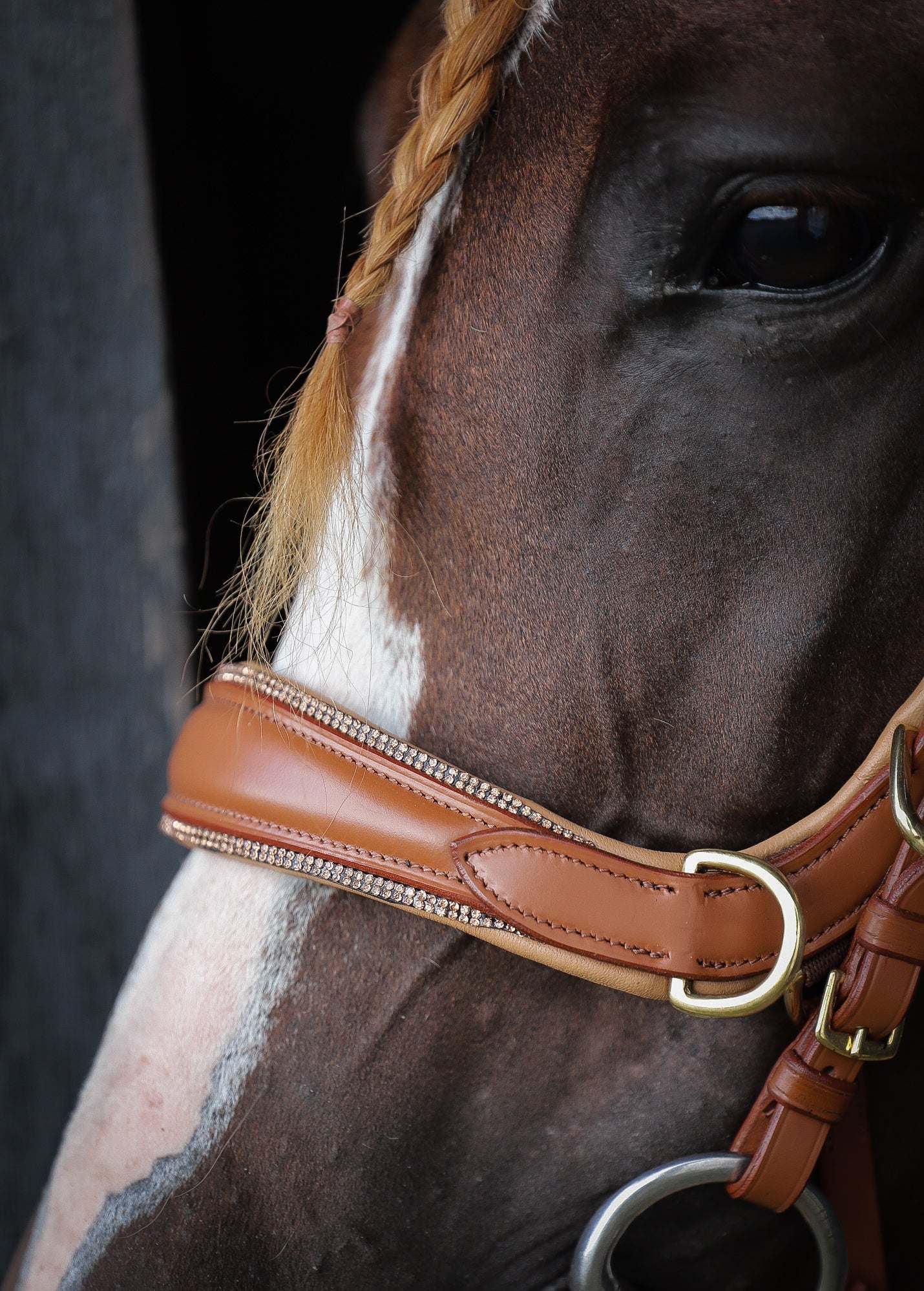 Spiritandhiscrew X MASEGO Multi Bridle - MASEGO horsewear - Equiluxe Tack