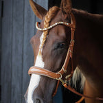 Spiritandhiscrew X MASEGO Multi Bridle - MASEGO horsewear - Equiluxe Tack