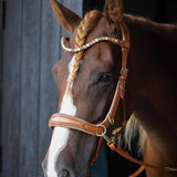 Spiritandhiscrew X MASEGO Multi Bridle - MASEGO horsewear - Equiluxe Tack