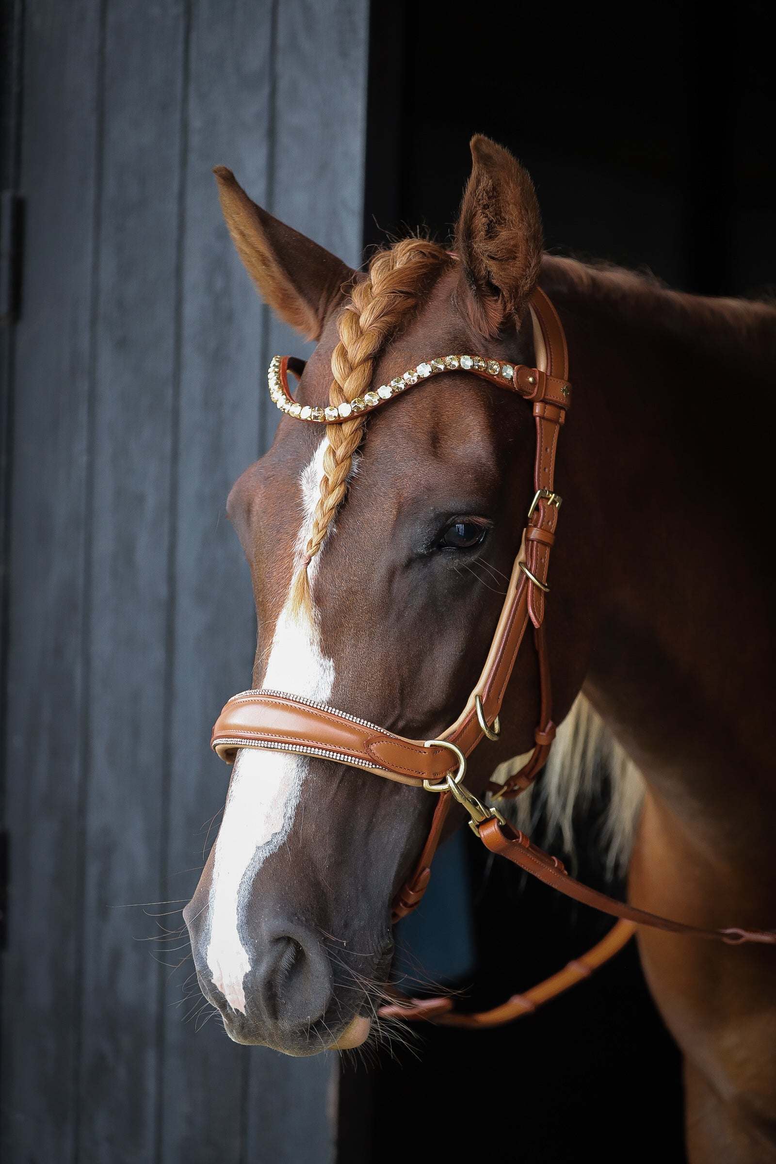 Spiritandhiscrew X MASEGO Multi Bridle - MASEGO horsewear - Equiluxe Tack