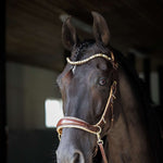 Spiritandhiscrew X MASEGO Multi Bridle - MASEGO horsewear - Equiluxe Tack