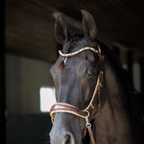 Spiritandhiscrew X MASEGO Multi Bridle - MASEGO horsewear - Equiluxe Tack