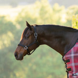 Standard Nylon Halter - Kensington Protective Products - Equiluxe Tack