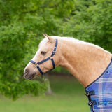 Standard Nylon Halter - Kensington Protective Products - Equiluxe Tack