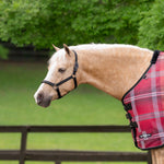 Standard Nylon Halter - Kensington Protective Products - Equiluxe Tack