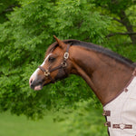 Standard Nylon Halter - Kensington Protective Products - Equiluxe Tack