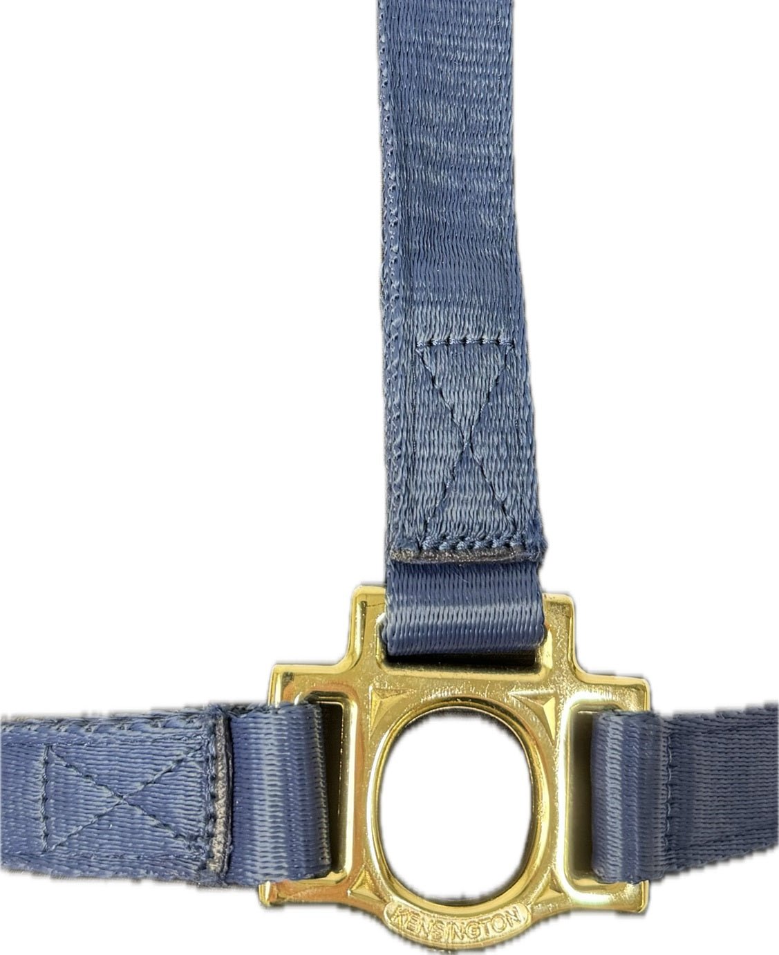 Standard Nylon Halter - Kensington Protective Products - Equiluxe Tack