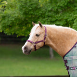 Standard Nylon Halter - Kensington Protective Products - Equiluxe Tack