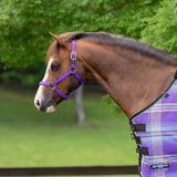 Standard Nylon Halter - Kensington Protective Products - Equiluxe Tack