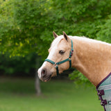 Standard Nylon Halter Mini & Pony - Kensington Protective Products - Equiluxe Tack