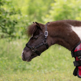 Standard Nylon Halter Mini & Pony - Kensington Protective Products - Equiluxe Tack