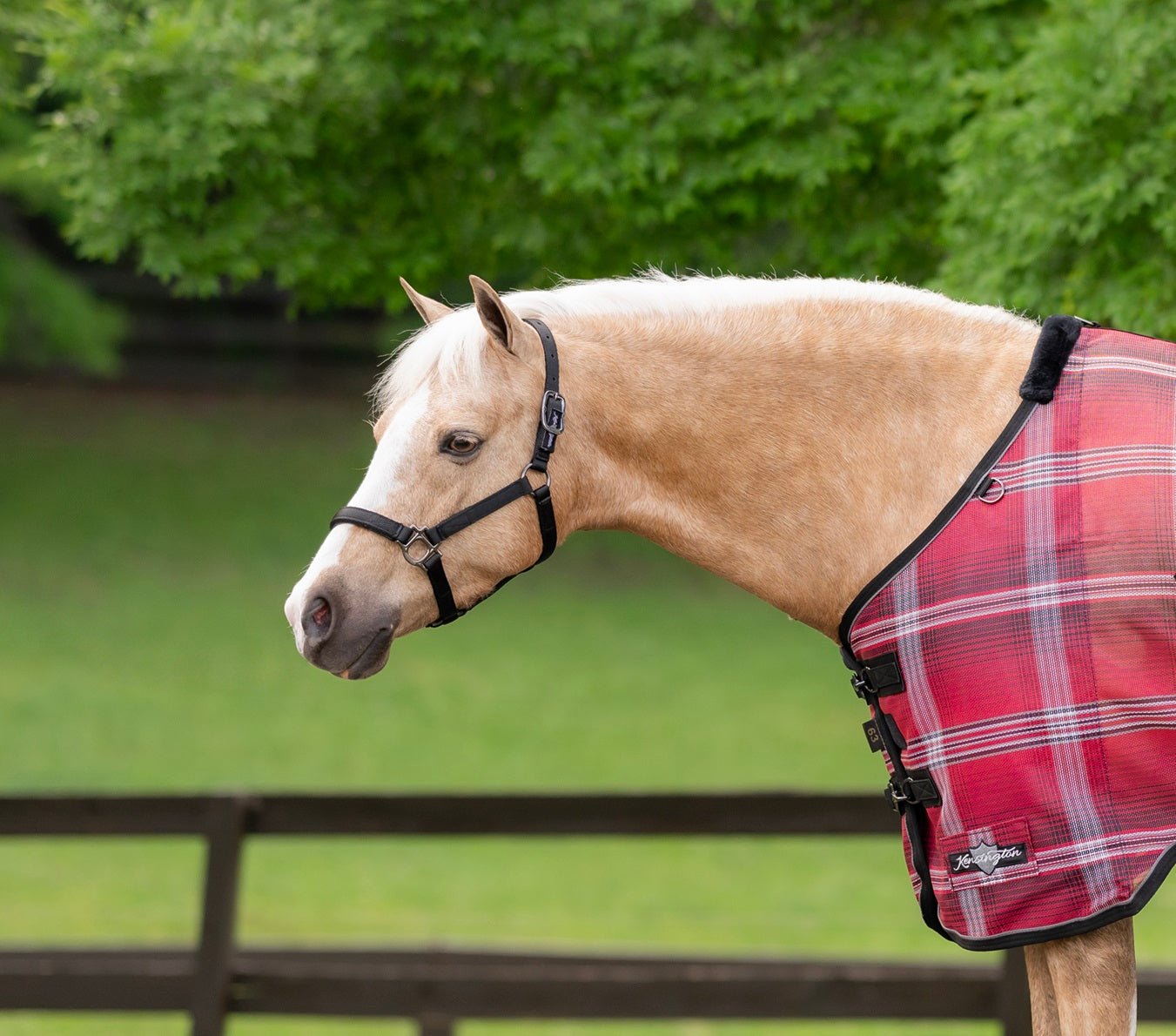 Standard Nylon Halter Mini & Pony - Kensington Protective Products - Equiluxe Tack