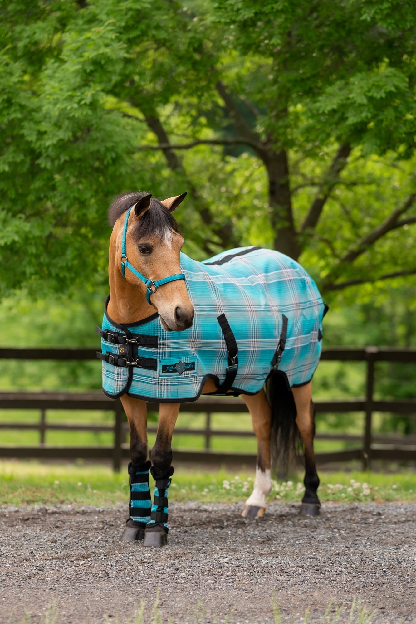 Standard Nylon Halter Mini & Pony - Kensington Protective Products - Equiluxe Tack