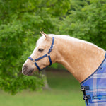 Standard Nylon Halter Mini & Pony - Kensington Protective Products - Equiluxe Tack