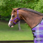 Standard Nylon Halter Mini & Pony - Kensington Protective Products - Equiluxe Tack