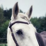 Stella browband - MASEGO horsewear - Equiluxe Tack