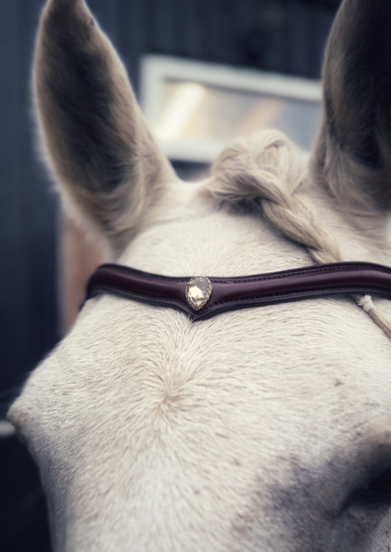 Stella browband - MASEGO horsewear - Equiluxe Tack