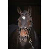 Pénélope Symphonie Bridle - Black