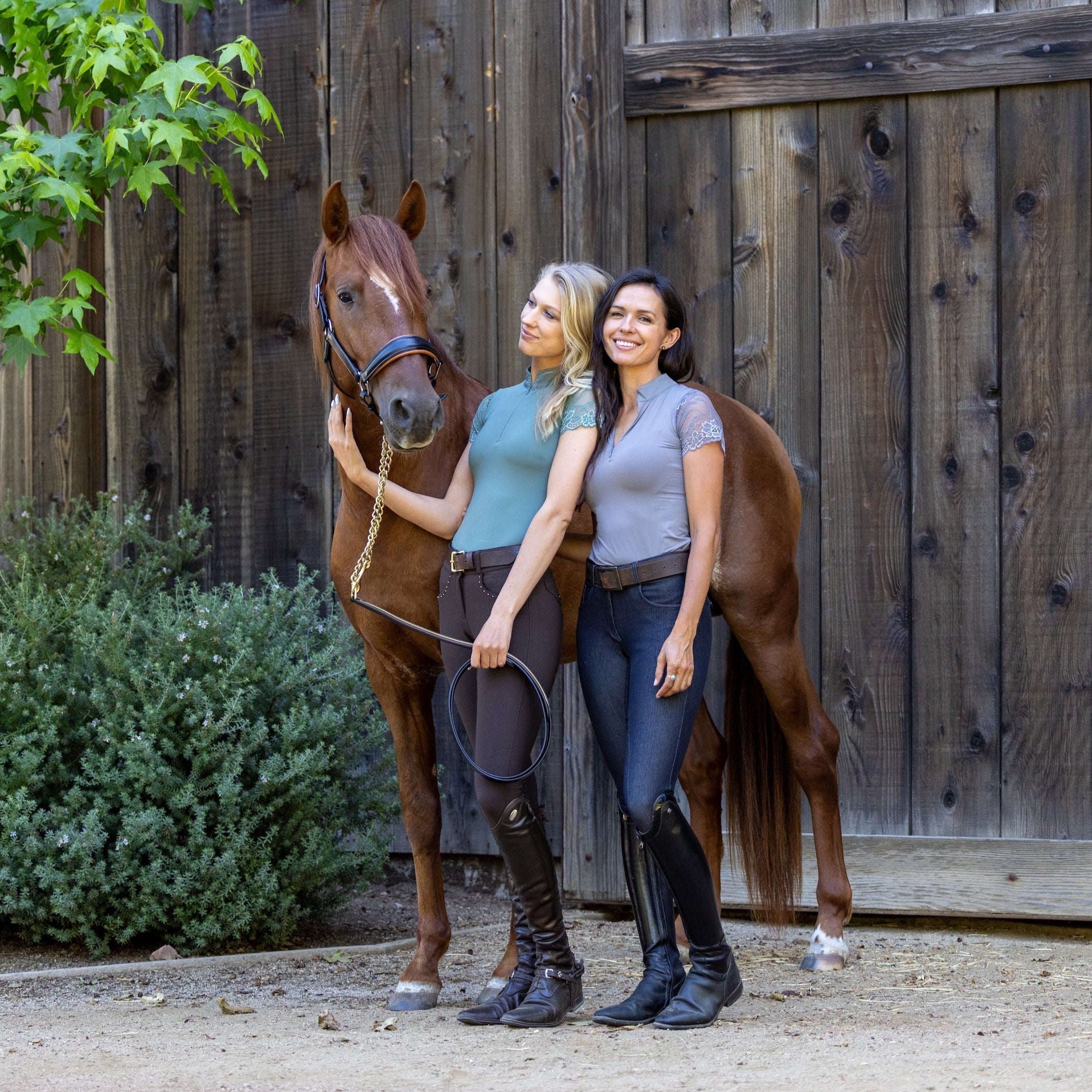 Tara - Short Sleeve Lace Competition Shirt - Halter Ego® - Equiluxe Tack