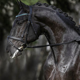 Teal Browband - Equestroom - Equiluxe Tack