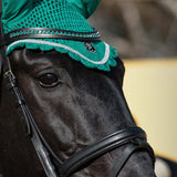 Teal Saddle Pad Set - Equestroom - Equiluxe Tack