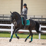 Teal Saddle Pad Set - Equestroom - Equiluxe Tack