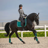 Teal Saddle Pad Set - Equestroom - Equiluxe Tack