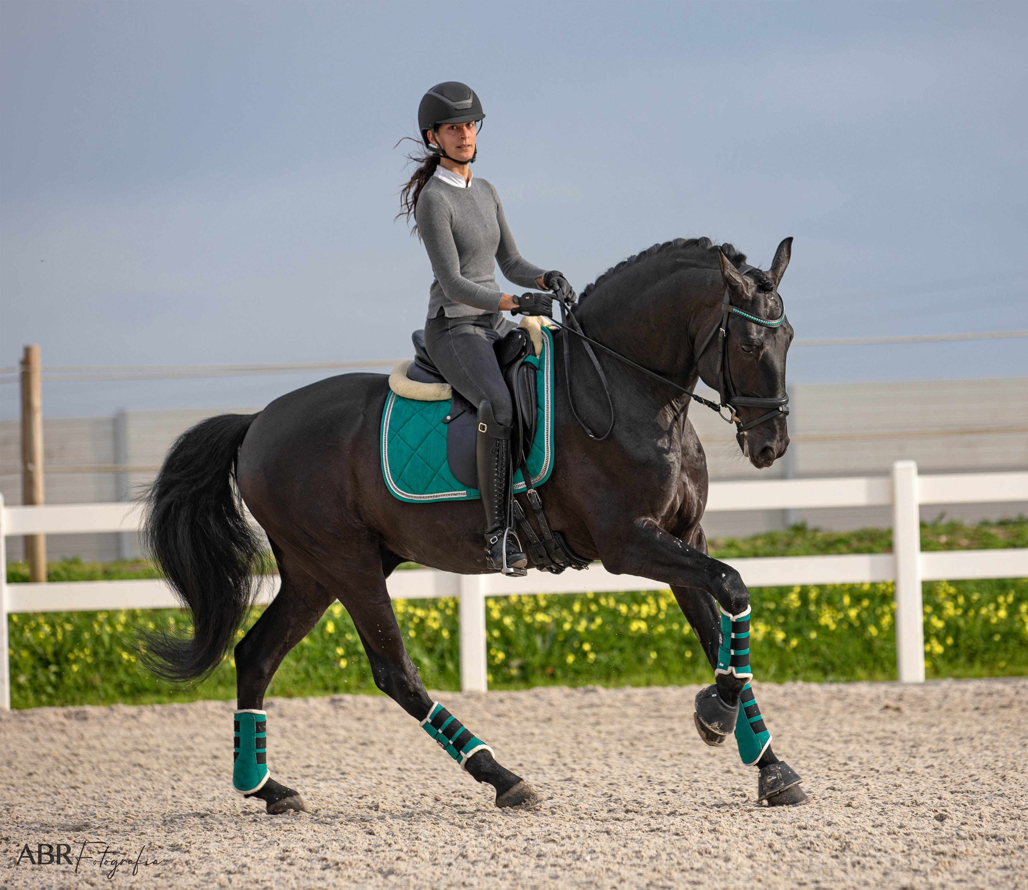 Teal Saddle Pad Set - Equestroom - Equiluxe Tack