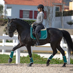 Teal Saddle Pad Set - Equestroom - Equiluxe Tack