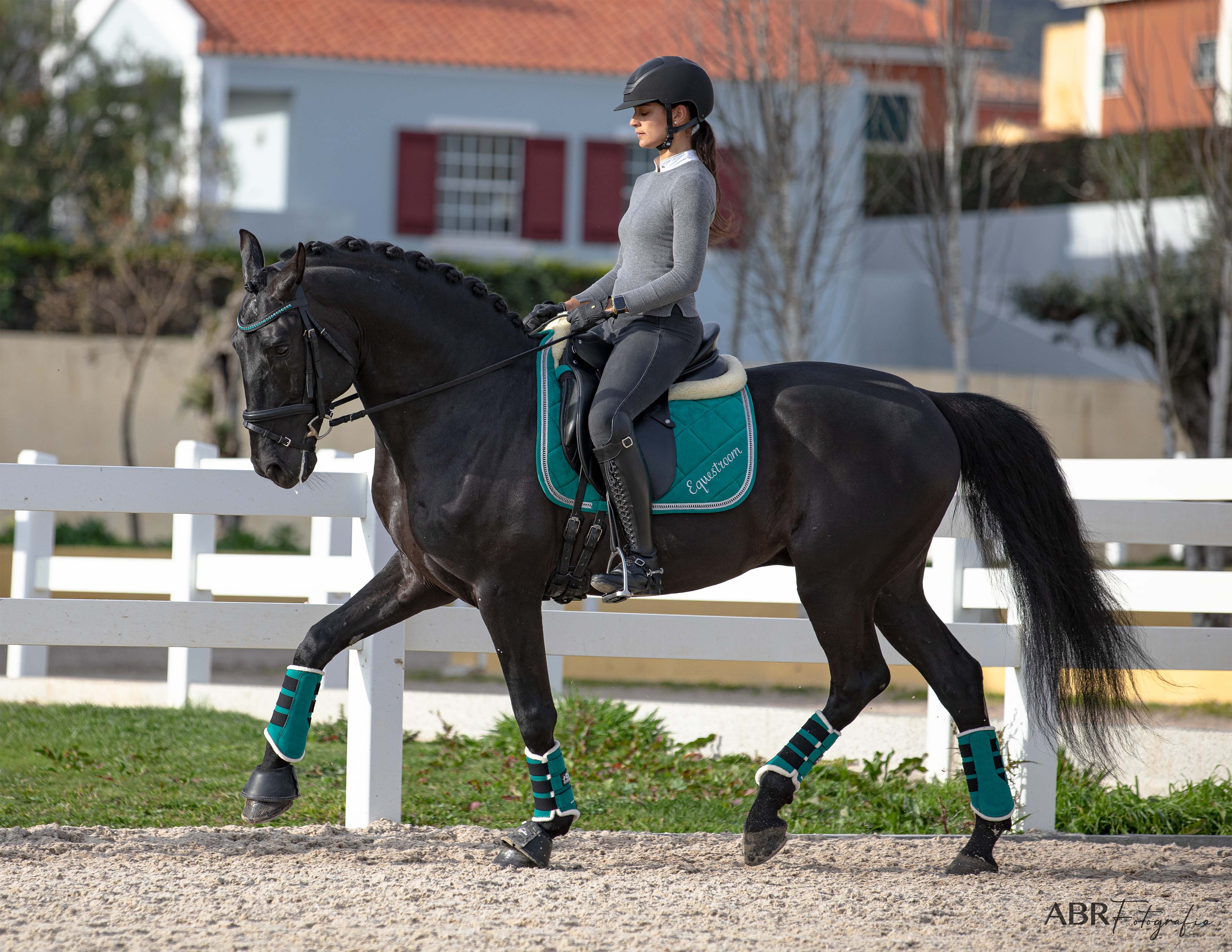 Teal Saddle Pad Set - Equestroom - Equiluxe Tack