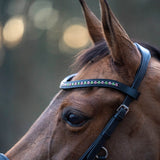 Teaparty Green Browband (Limited Edition) - Equestroom - Equiluxe Tack