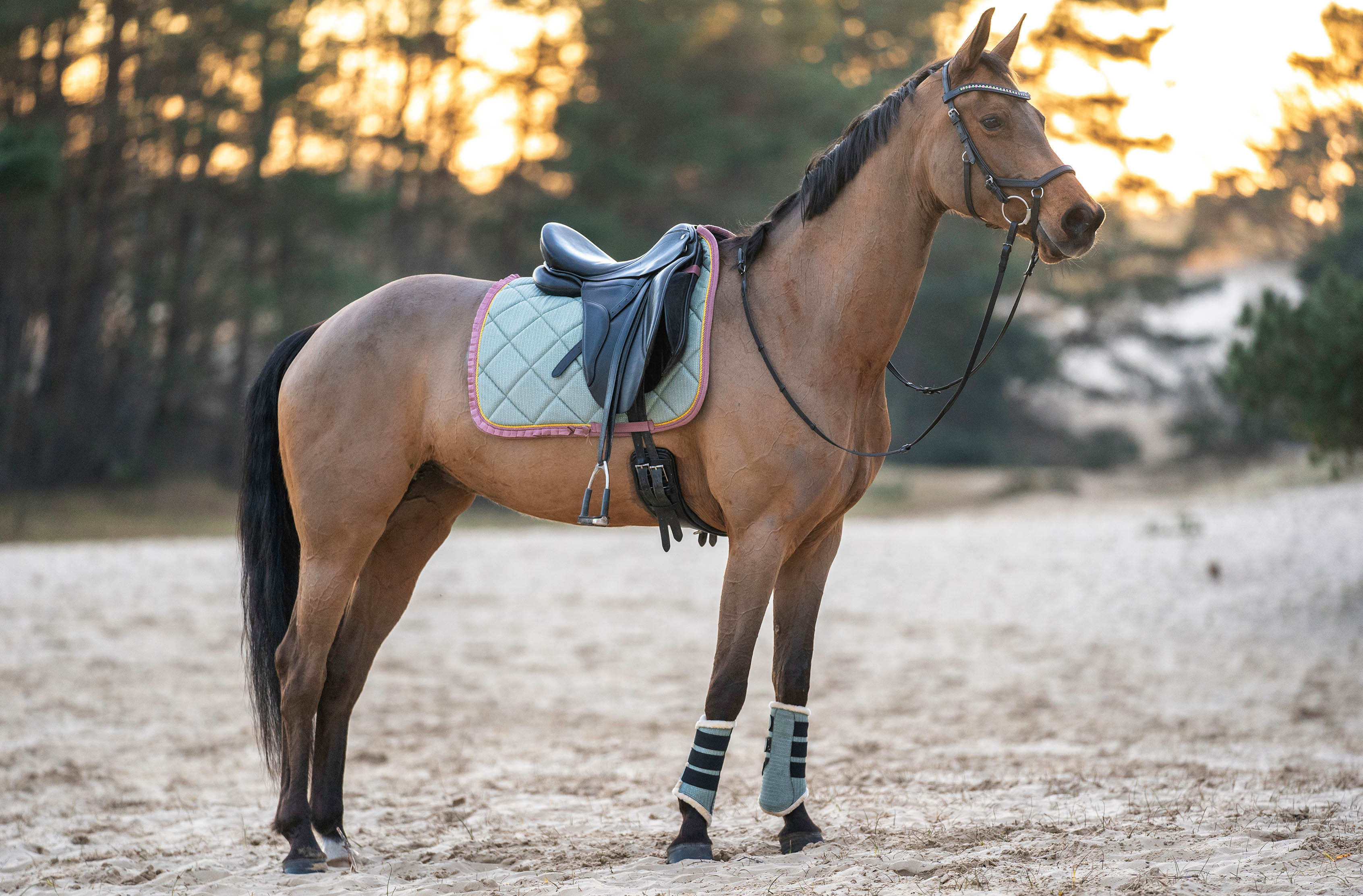 Teaparty Green Saddle Pad (Limited Edition) - Equestroom - Equiluxe Tack