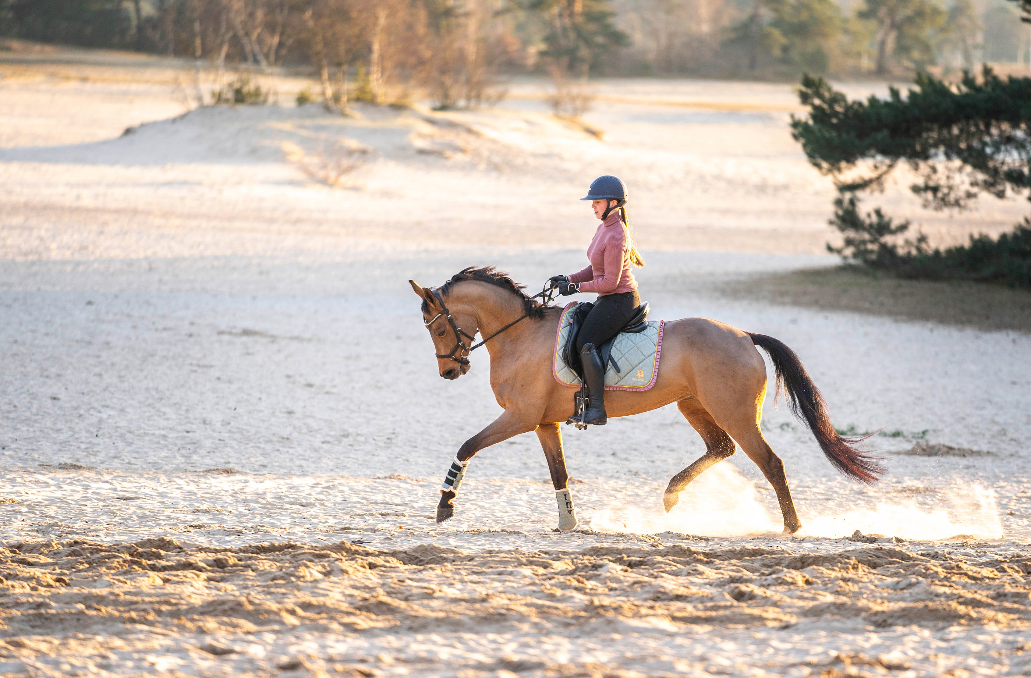 Teaparty Green Saddle Pad (Limited Edition) - Equestroom - Equiluxe Tack
