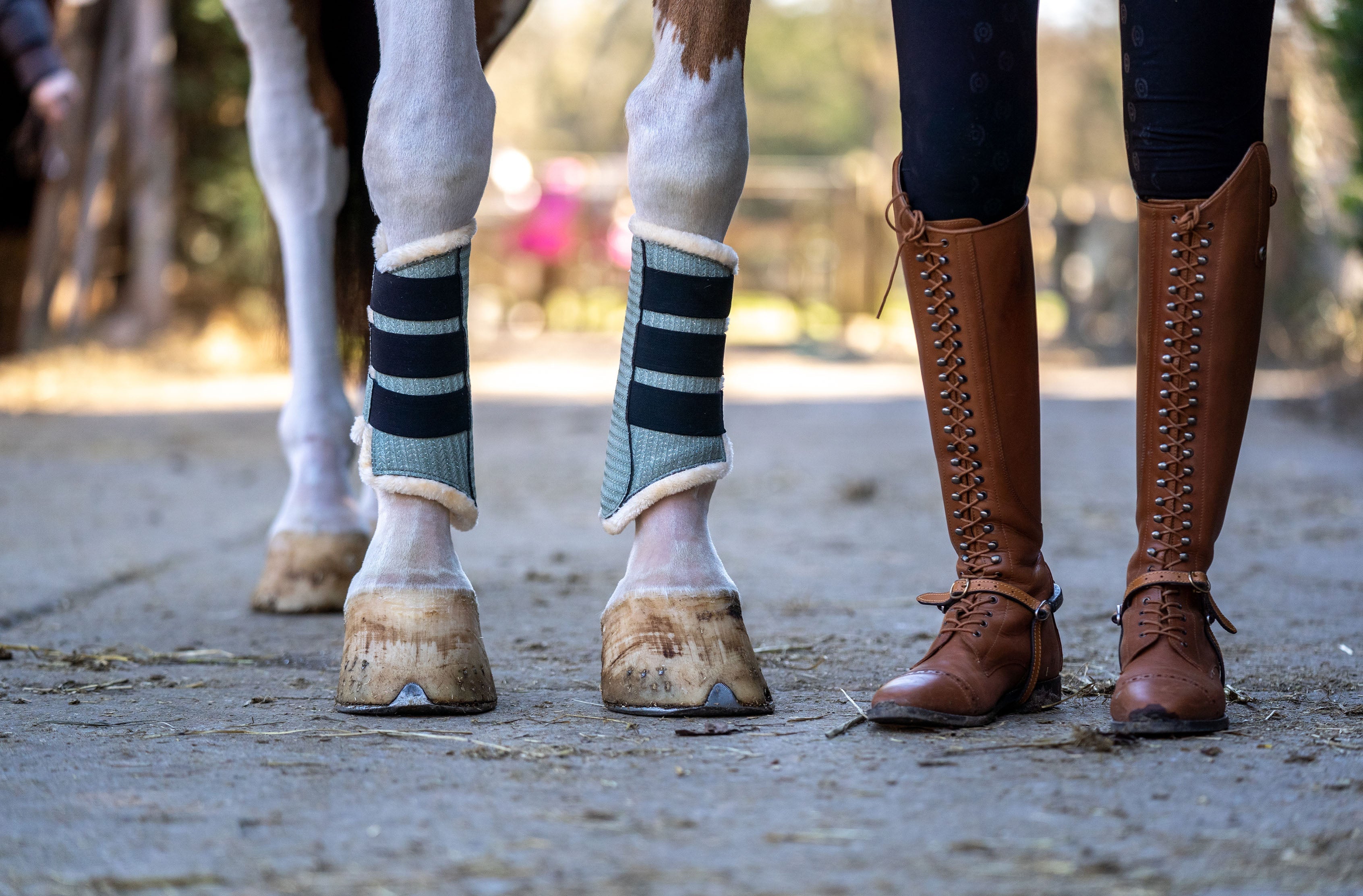 Teaparty Green Saddle Pad Set (Limited Edition) - Equestroom - Equiluxe Tack