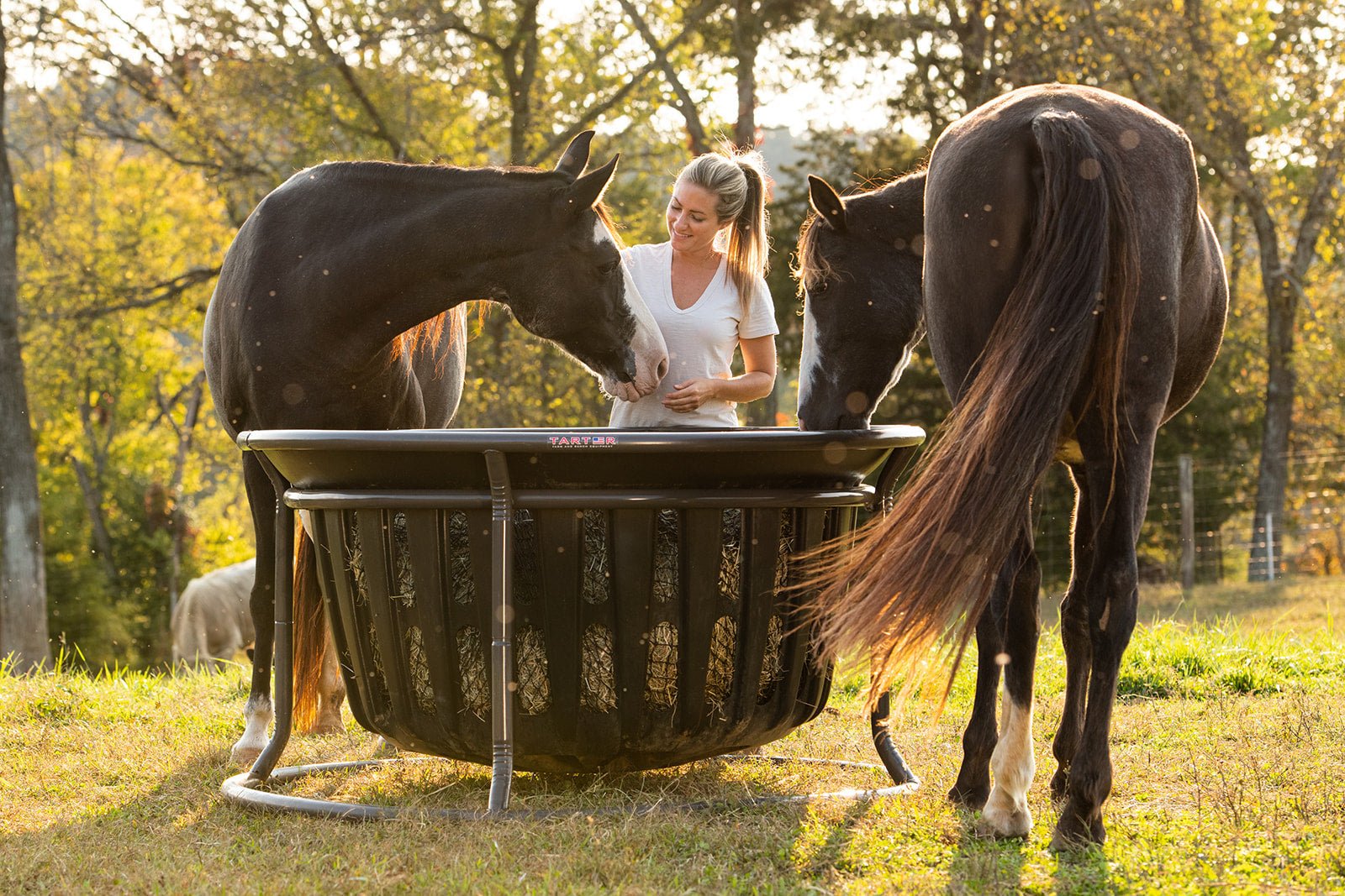Texas Haynet Hay Net for Tarter Equine Hay Basket (Basket Sold Separately) - Texas Haynet - Equiluxe Tack