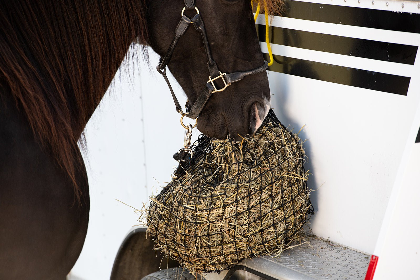 Texas Haynet Small Hay Net - Texas Haynet - Equiluxe Tack
